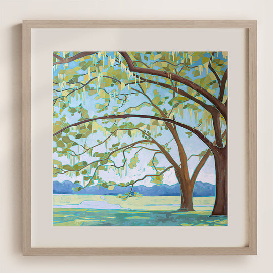 Mary Benson - Summer Shadows